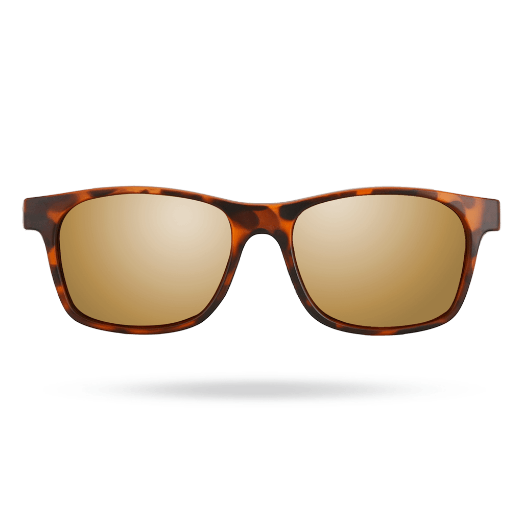TYR Springdale - Lifestyle  Sunglasses Gold Tortoise Shell - Aqua Shop 